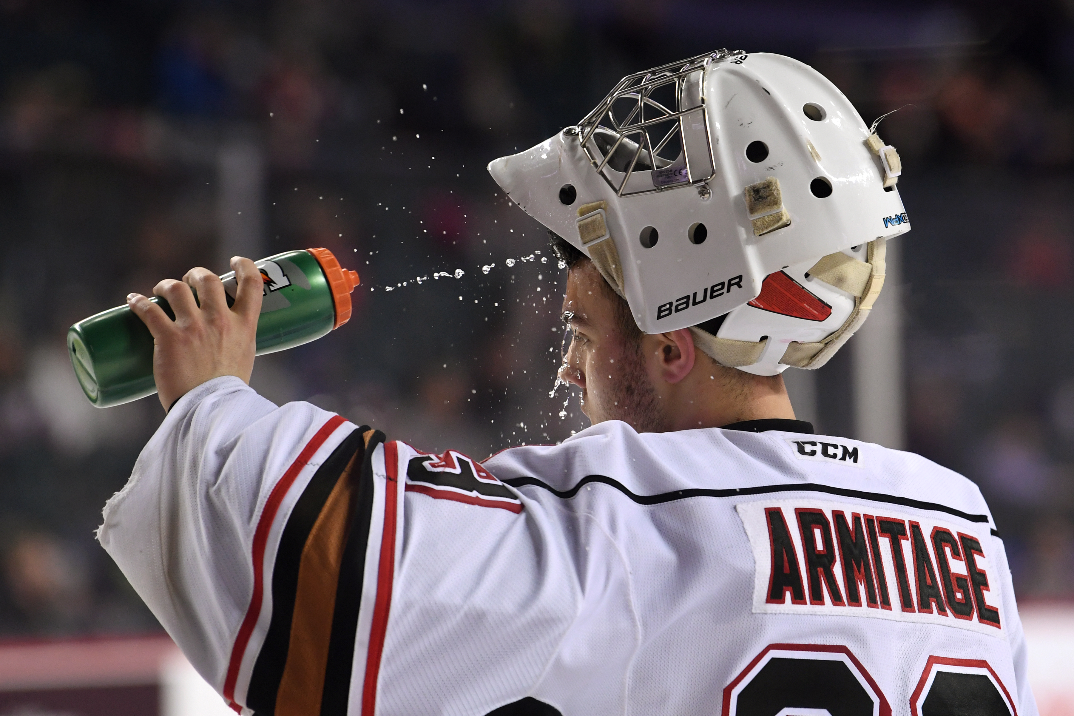Calgary Hitmen v Red Deer Rebels
