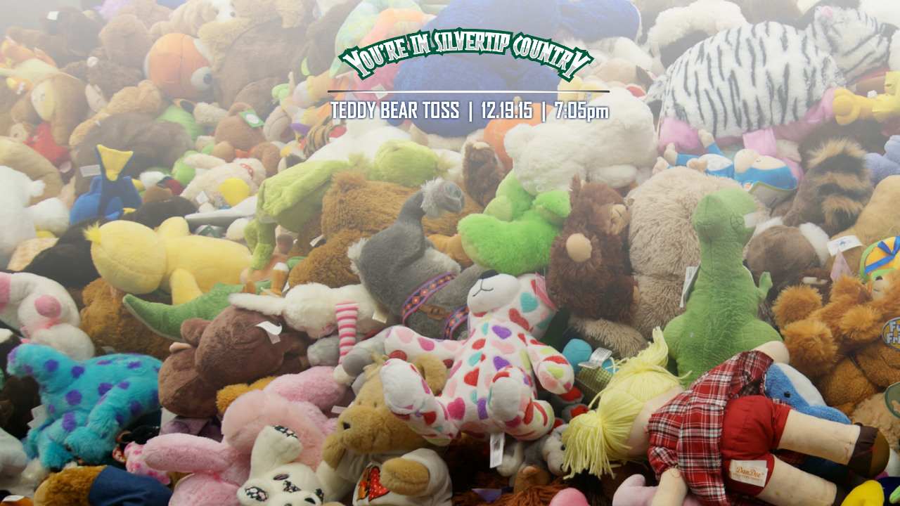 15_1210-TeddyToss