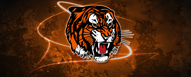 TIGERS-GENERIC-3