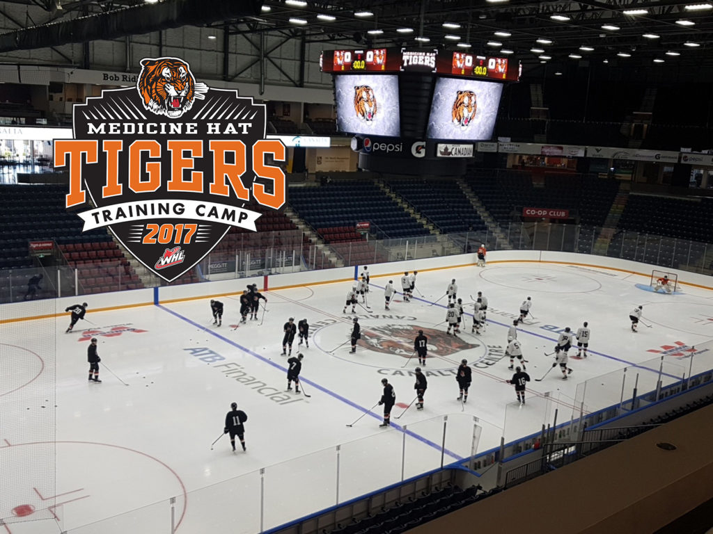 medicine hat tigers hockey