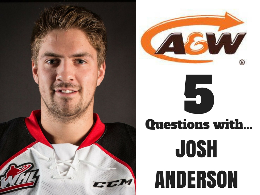 Josh Anderson Website Photo