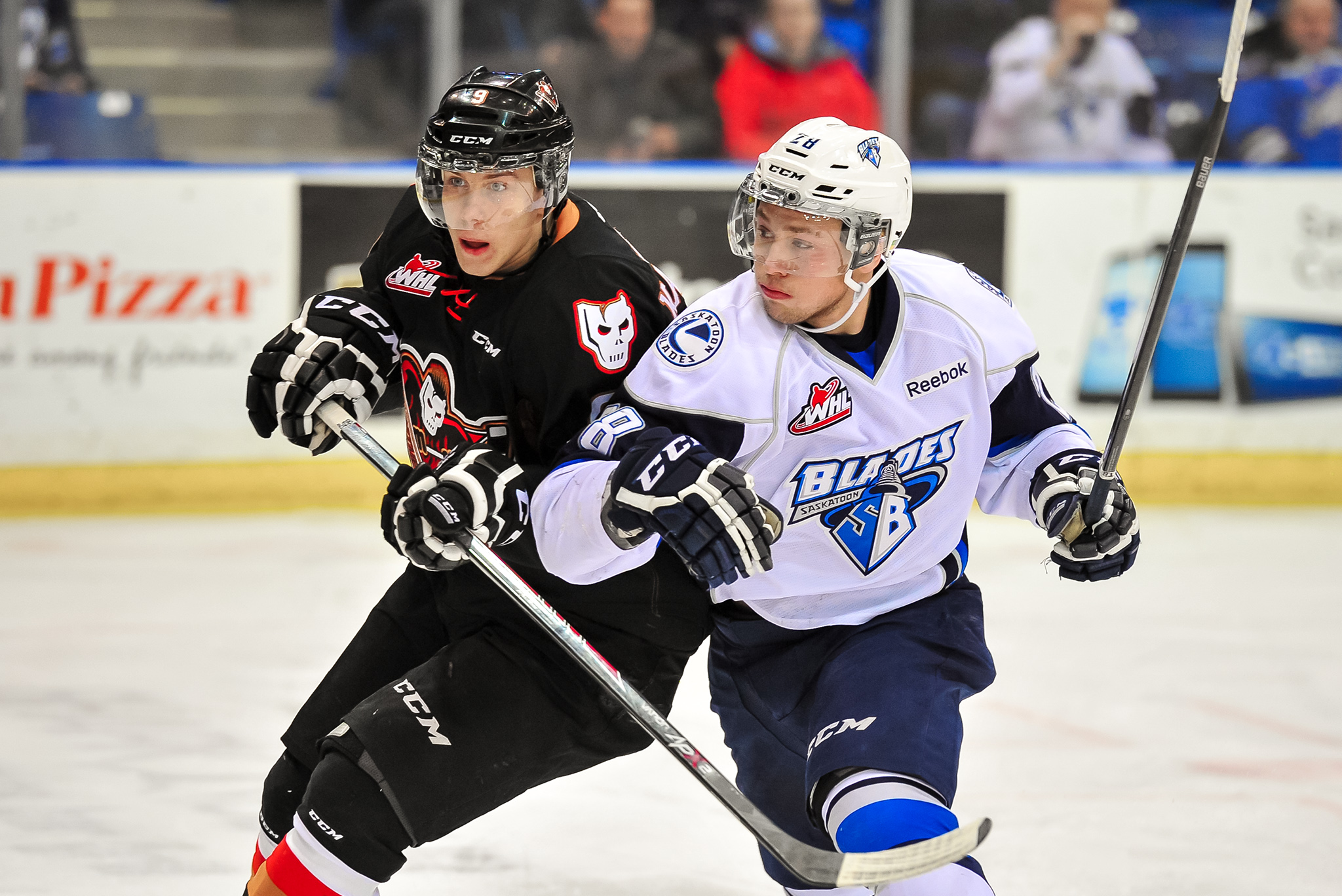 PREGAME Nov. 3rd, Hitmen Blades Saskatoon Blades