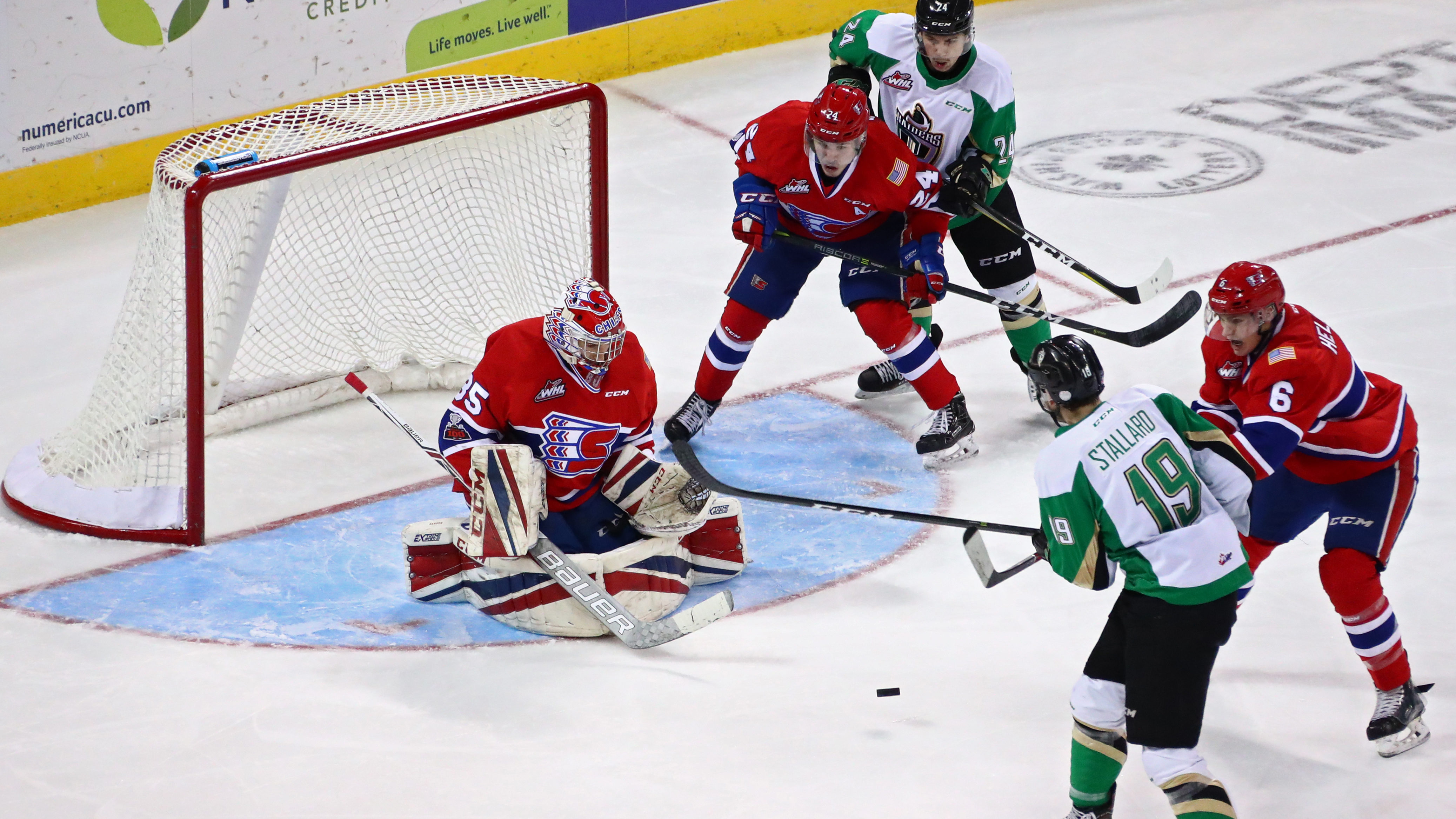 Buskey red vs. Prince Albert