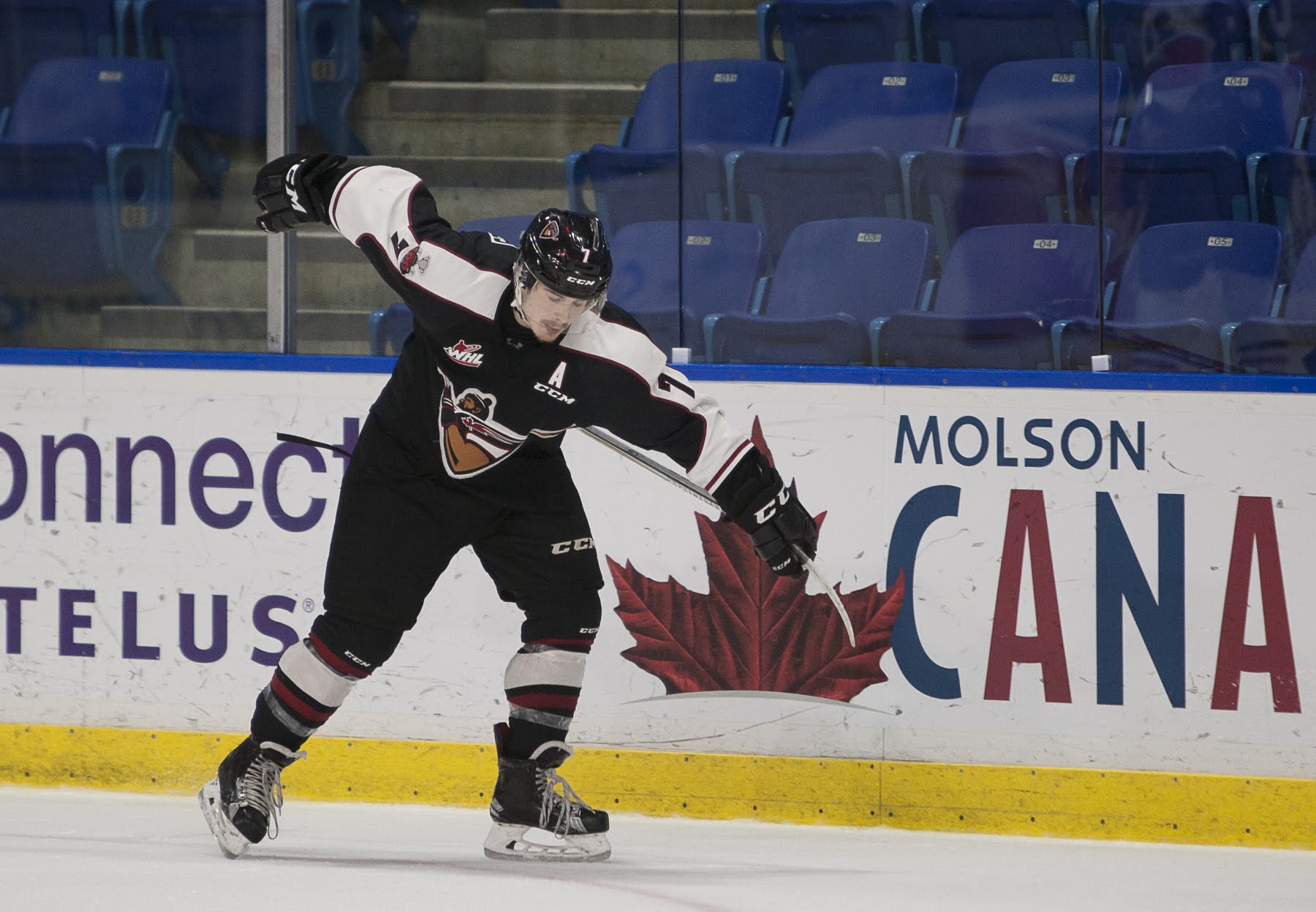 Ty Ronning of the Vancouver Giants celebrates a goal.