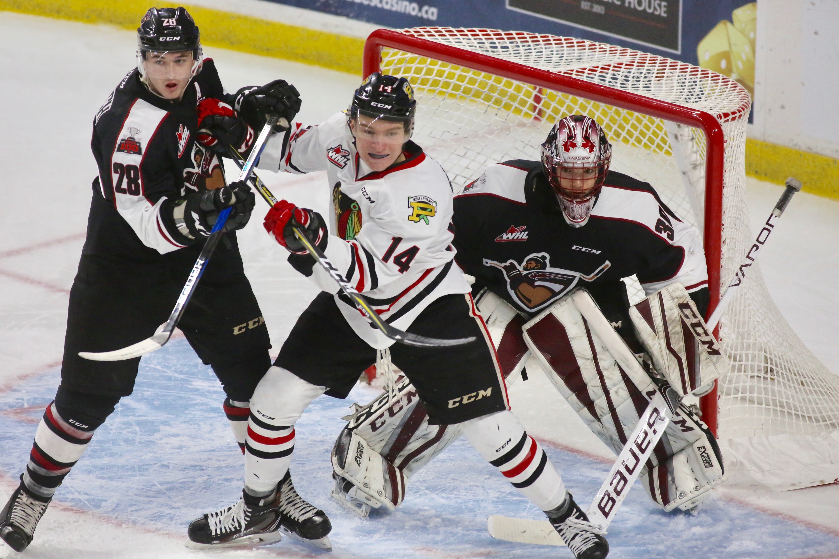 PREVIEW Vancouver Giants vs. Portland Winterhawks (Game 47) PREVIEW Vancouver Giants vs. Portland Winterhawks (Game 47)