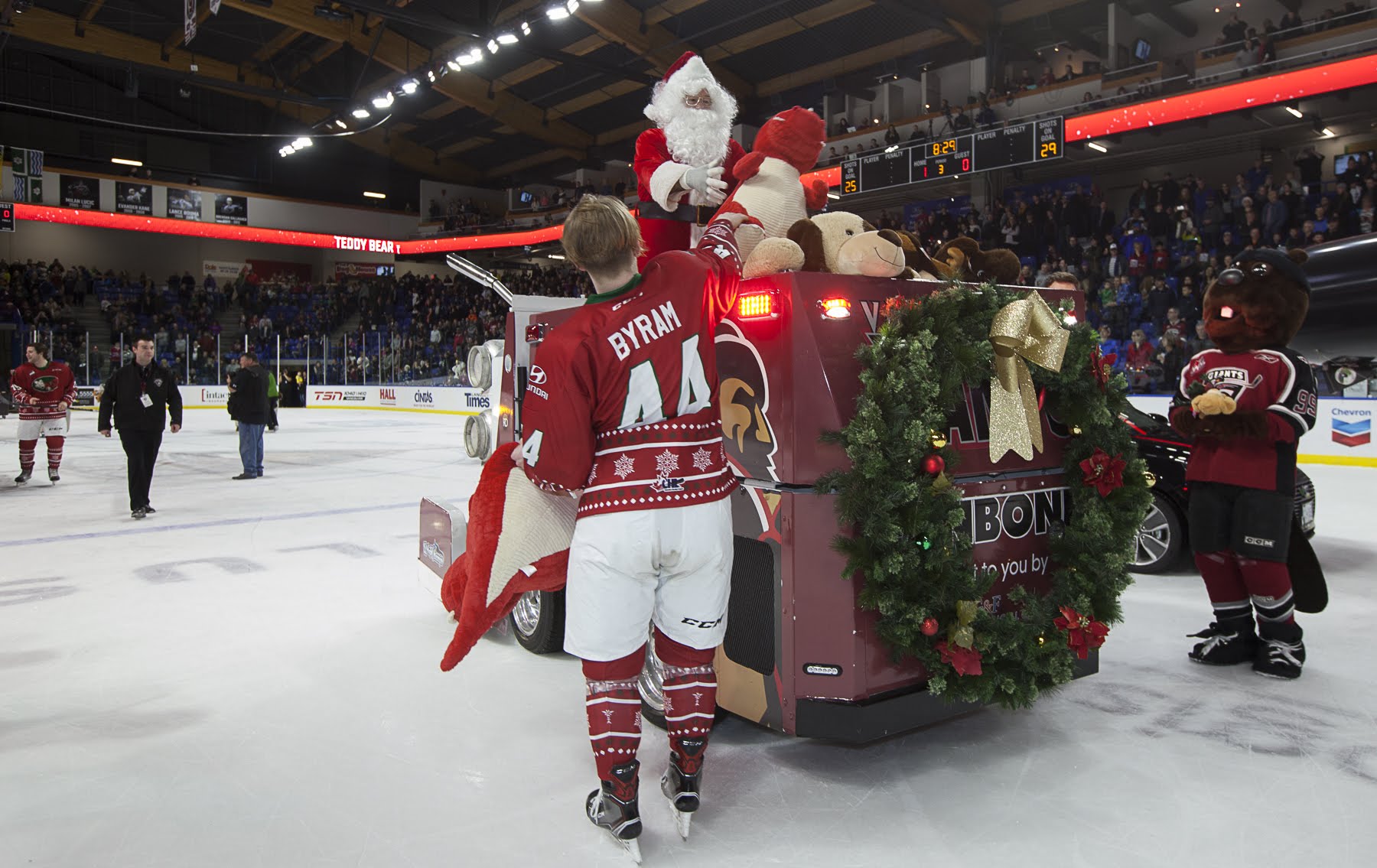 Teddy Bear Toss