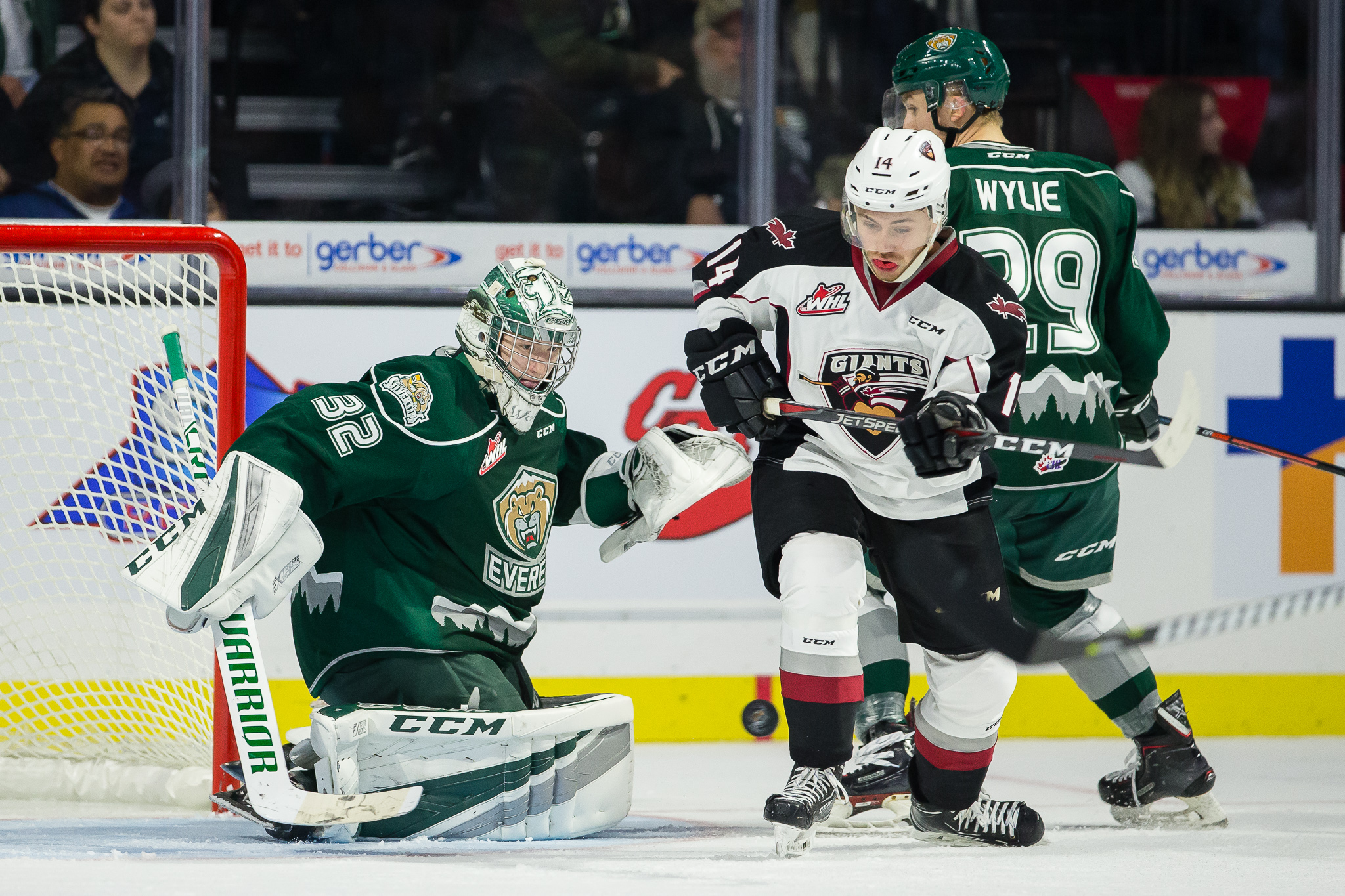 Vancouver Giants Malm