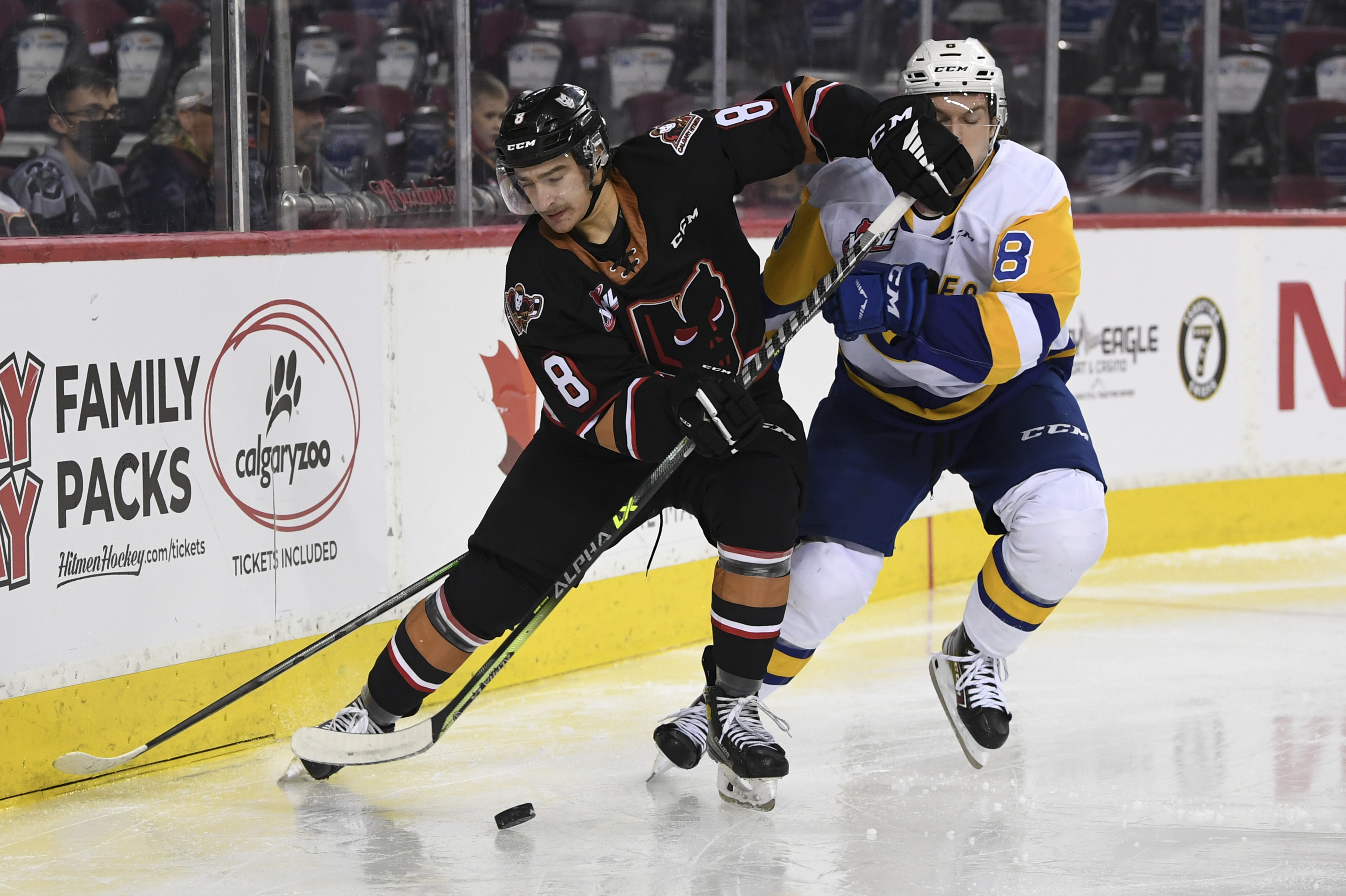 Calgary Hitmen vs Saskatoon Blades