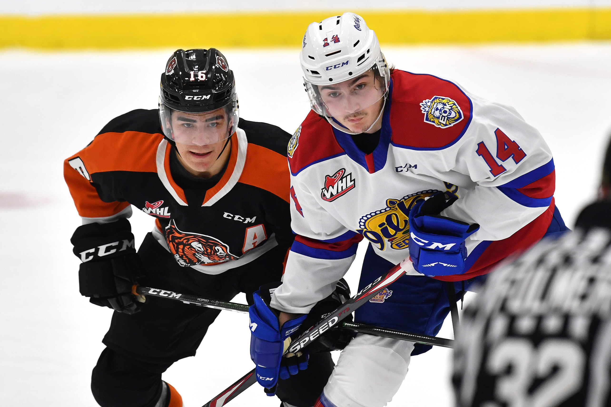 Oil Kings forward Josh Williams lines up againt the Medicine Hat TIgers