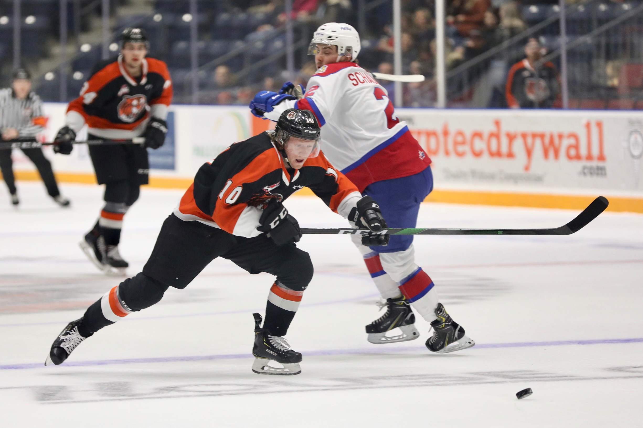 TIGERS TAKEDOWN OIL KINGS IN GAME Medicine Hat Tigers