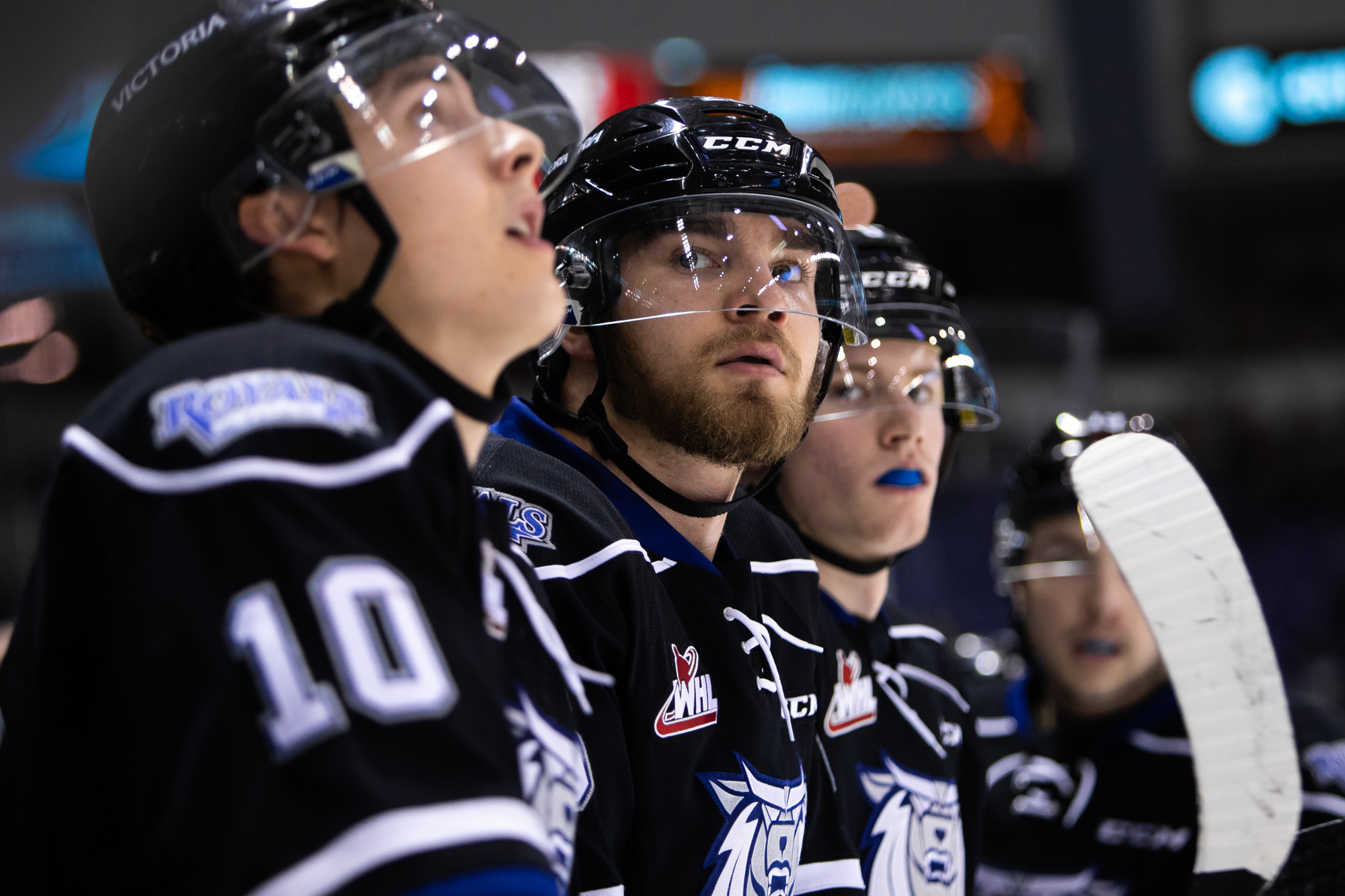 Royals Quick Edits. Photo by Jay Wallace-30822