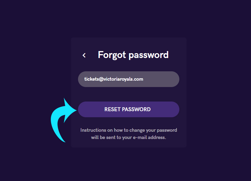 Step 3b2 - type in your e-mail and press forgot password