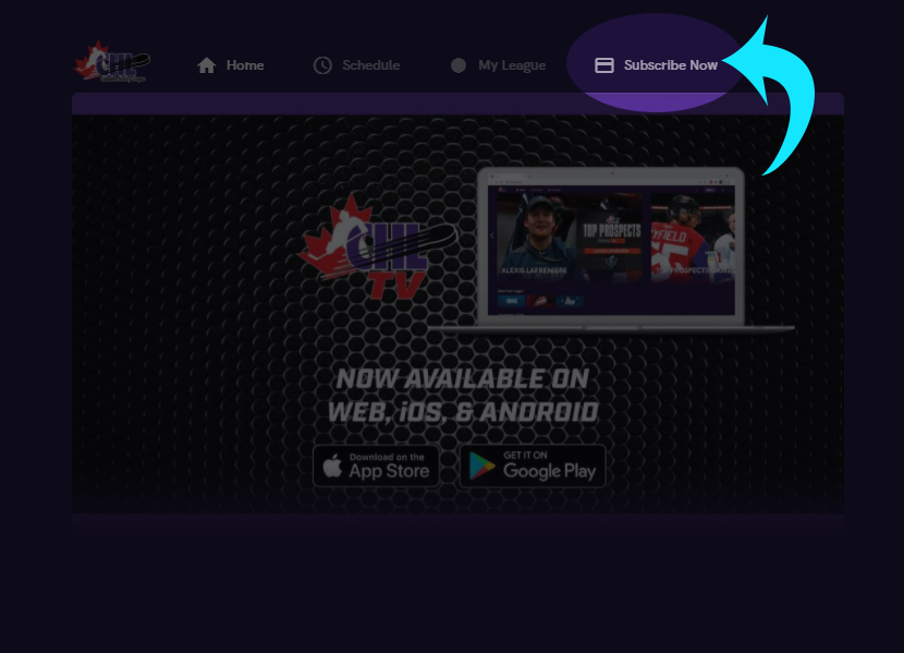 Step 5 - click subscribe now
